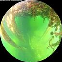 ./images/calvert/underwater/20260602/underwater20260602_145501M.jpg