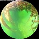 ./images/calvert/underwater/20260602/underwater20260602_150501M.jpg