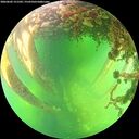 ./images/calvert/underwater/20260602/underwater20260602_151502M.jpg