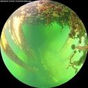 ./images/calvert/underwater/20260602/underwater20260602_152501M.jpg