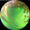 ./images/calvert/underwater/20260602/underwater20260602_153002M.jpg