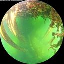 ./images/calvert/underwater/20260602/underwater20260602_153501M.jpg