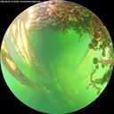./images/calvert/underwater/20260602/underwater20260602_155501M.jpg