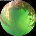 ./images/calvert/underwater/20260602/underwater20260602_160001M.jpg