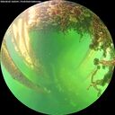 ./images/calvert/underwater/20260602/underwater20260602_160501M.jpg
