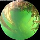 ./images/calvert/underwater/20260602/underwater20260602_161001M.jpg