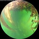 ./images/calvert/underwater/20260602/underwater20260602_161502M.jpg