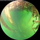 ./images/calvert/underwater/20260602/underwater20260602_162001M.jpg