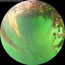 ./images/calvert/underwater/20260602/underwater20260602_162502M.jpg