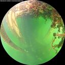 ./images/calvert/underwater/20260602/underwater20260602_163002M.jpg