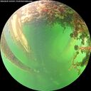 ./images/calvert/underwater/20260602/underwater20260602_163501M.jpg