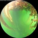 ./images/calvert/underwater/20260602/underwater20260602_164001M.jpg
