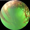 ./images/calvert/underwater/20260602/underwater20260602_165501M.jpg