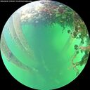 ./images/calvert/underwater/20260602/underwater20260602_170501M.jpg