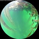 ./images/calvert/underwater/20260602/underwater20260602_171501M.jpg
