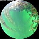 ./images/calvert/underwater/20260602/underwater20260602_172501M.jpg