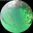 ./images/calvert/underwater/20260602/underwater20260602_174002M.jpg
