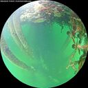 ./images/calvert/underwater/20260602/underwater20260602_174501M.jpg
