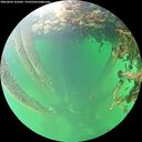 ./images/calvert/underwater/20260602/underwater20260602_181001M.jpg
