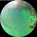 ./images/calvert/underwater/20260602/underwater20260602_182502M.jpg