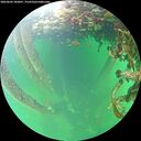 ./images/calvert/underwater/20260602/underwater20260602_183001M.jpg