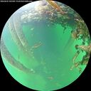 ./images/calvert/underwater/20260602/underwater20260602_183501M.jpg
