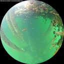 ./images/calvert/underwater/20260602/underwater20260602_184001M.jpg