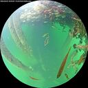 ./images/calvert/underwater/20260602/underwater20260602_184502M.jpg