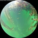 ./images/calvert/underwater/20260602/underwater20260602_190501M.jpg