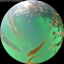 ./images/calvert/underwater/20260602/underwater20260602_191001M.jpg