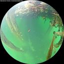 ./images/calvert/underwater/20260602/underwater20260602_192501M.jpg