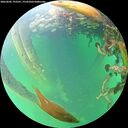 ./images/calvert/underwater/20260602/underwater20260602_193501M.jpg
