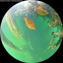 ./images/calvert/underwater/20260602/underwater20260602_194001M.jpg