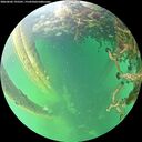 ./images/calvert/underwater/20260602/underwater20260602_195501M.jpg