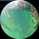 ./images/calvert/underwater/20260602/underwater20260602_201001M.jpg