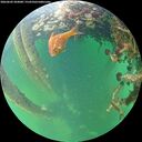 ./images/calvert/underwater/20260602/underwater20260602_204001M.jpg
