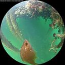./images/calvert/underwater/20260602/underwater20260602_205501M.jpg
