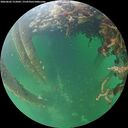 ./images/calvert/underwater/20260602/underwater20260602_212001M.jpg