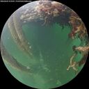./images/calvert/underwater/20260602/underwater20260602_213501M.jpg