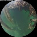 ./images/calvert/underwater/20260602/underwater20260602_214501M.jpg