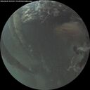 ./images/calvert/underwater/20260602/underwater20260602_221501M.jpg
