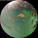 ./images/calvert/underwater/20260603/underwater20260603_055501M.jpg