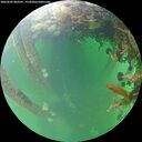 ./images/calvert/underwater/20260603/underwater20260603_063501M.jpg