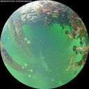 ./images/calvert/underwater/20260603/underwater20260603_071501M.jpg
