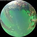 ./images/calvert/underwater/20260603/underwater20260603_072001M.jpg