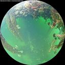 ./images/calvert/underwater/20260603/underwater20260603_074001M.jpg