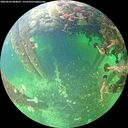 ./images/calvert/underwater/20260603/underwater20260603_084001M.jpg