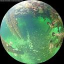 ./images/calvert/underwater/20260603/underwater20260603_085001M.jpg