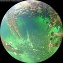 ./images/calvert/underwater/20260603/underwater20260603_085501M.jpg