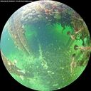 ./images/calvert/underwater/20260603/underwater20260603_090001M.jpg